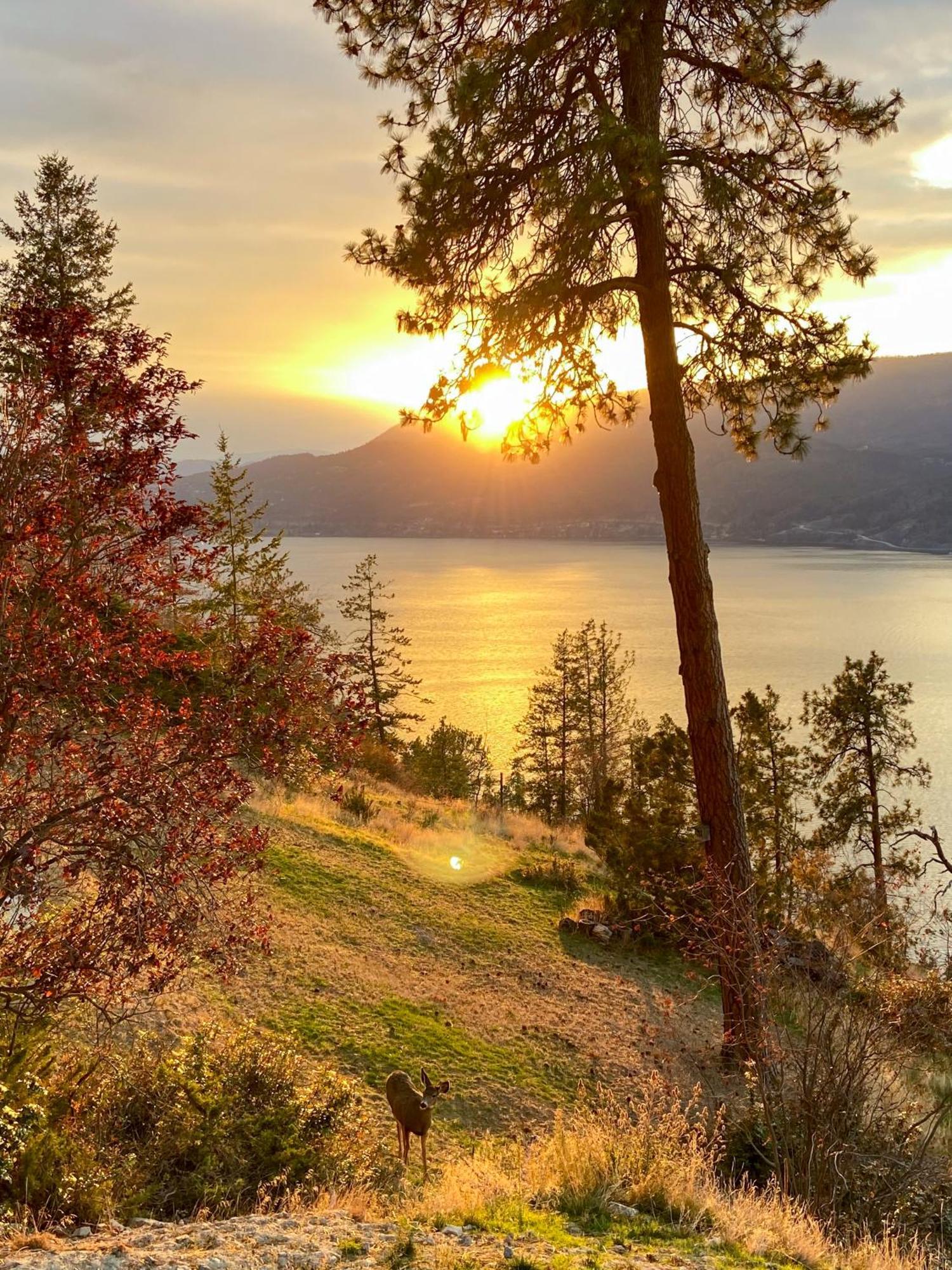 Kelowfornia Lakeview Retreat Kelowna Exteriér fotografie